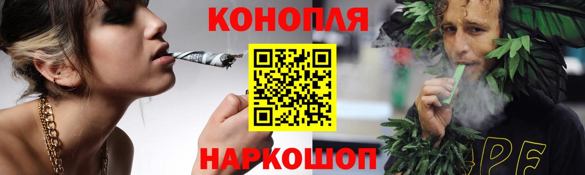 Каннабис конопля Богданович